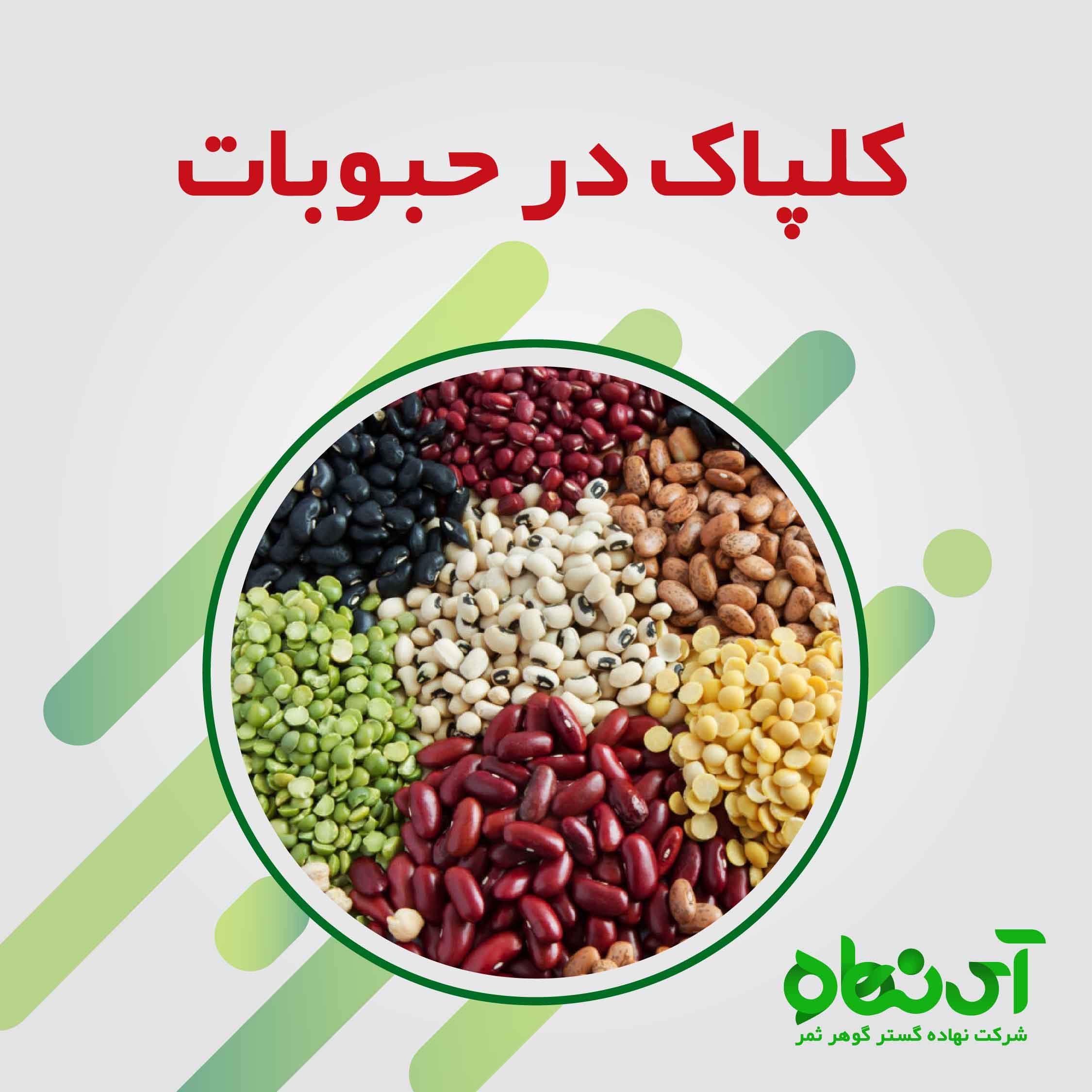 کلپاک در حبوبات- آی نهاده